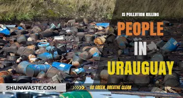 Uruguay's Pollution Crisis: A Deadly Threat
