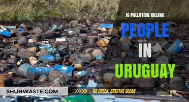 Uruguay's Pollution Crisis: A Deadly Threat