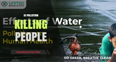 Pollution's Deadly Impact: Is It Killing Us?