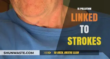 Pollution and Strokes: What's the Link?