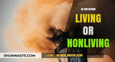 What is Pollution? Living or Nonliving?