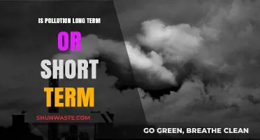 The Impact of Pollution: Long-Term or Short-Term?