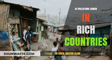 Wealth and Pollution: A Global Comparison