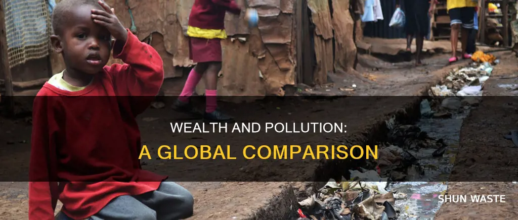 is pollution lower in rich countries
