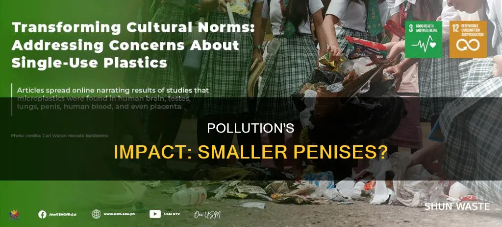 is pollution making penises smaller