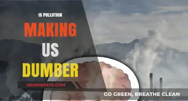 Pollution's Impact: Are We Getting Dumber?