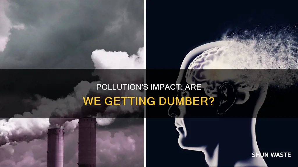 is pollution making us dumber