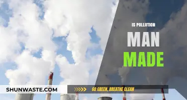 Human Impact: The Pollution Problem