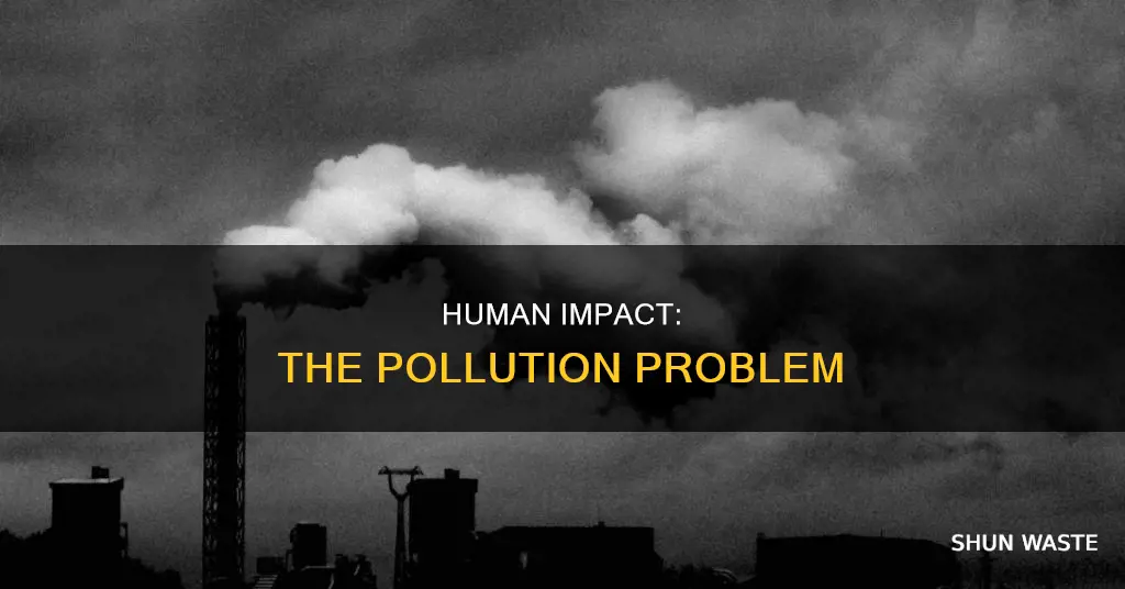 is pollution man made
