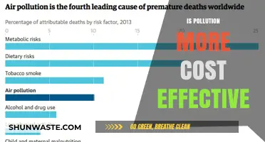 Pollution's Cost: Who Pays the Price?