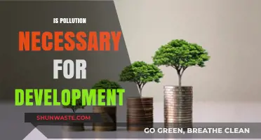 Pollution vs Development: Is it a Zero-Sum Game?
