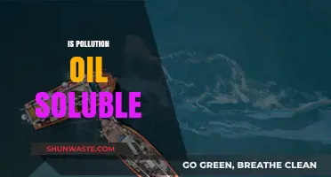 Oil Pollution: Solubility and its Impact