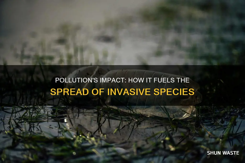 is pollution on of the major causes of invasive species