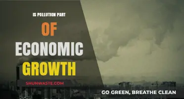 Pollution and Economic Growth: A Necessary Evil?