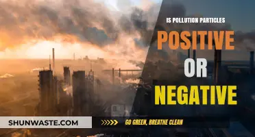 The Impact of Pollution Particles: Positive or Negative?