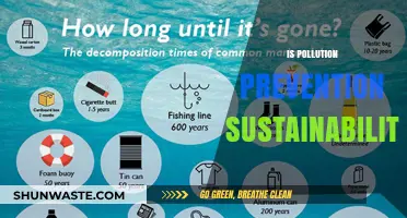 Preventing Pollution: Sustainable Future for Generations