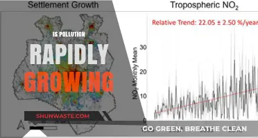 The Dark Side of Human Progress: Pollution's Rapid Growth
