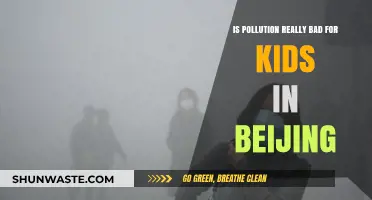 Pollution in Beijing: How Bad Is It for Kids?