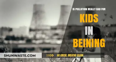 Pollution's Impact: Why Children Suffer More