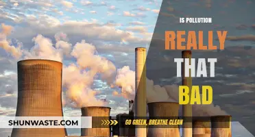 The Dark Side of Pollution: Exploring the Truth