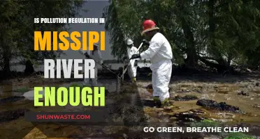 Mississippi River: Pollution Regulation Sufficient?