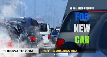 Pollution Requirements: New Cars and Their Impact