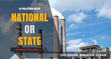 Pollution Rules: National vs State Jurisdiction