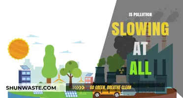 Pollution's Slowdown: Is There Any Hope?