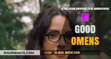 Pollution's Androgyny: Good Omens' Intentional Design?