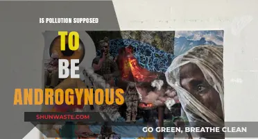 Pollution's Gender: Exploring the Androgynous Nature of Environmental Crisis
