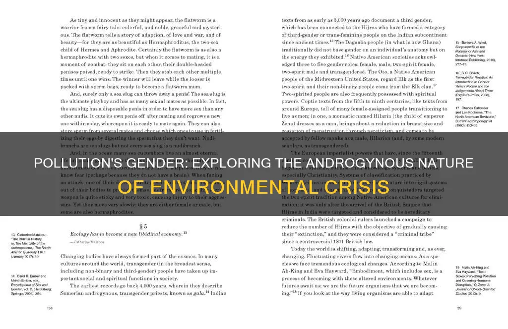 is pollution supposed to be androgynous