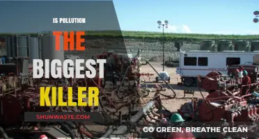 The Silent Killer: Pollution's Deadly Impact
