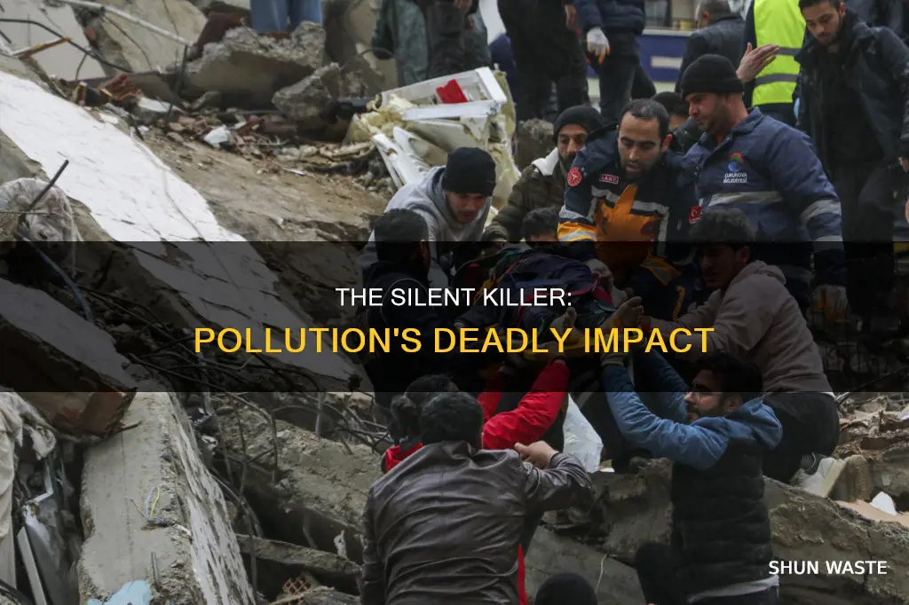 is pollution the biggest killer