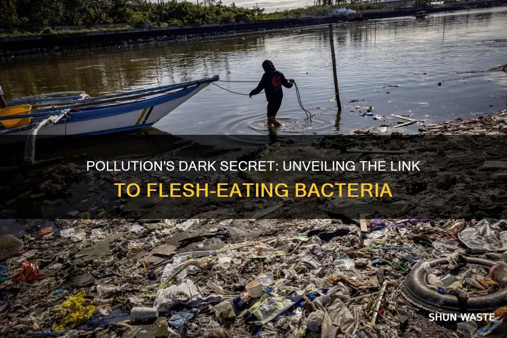 is pollution the cause of flesh eating bacteria