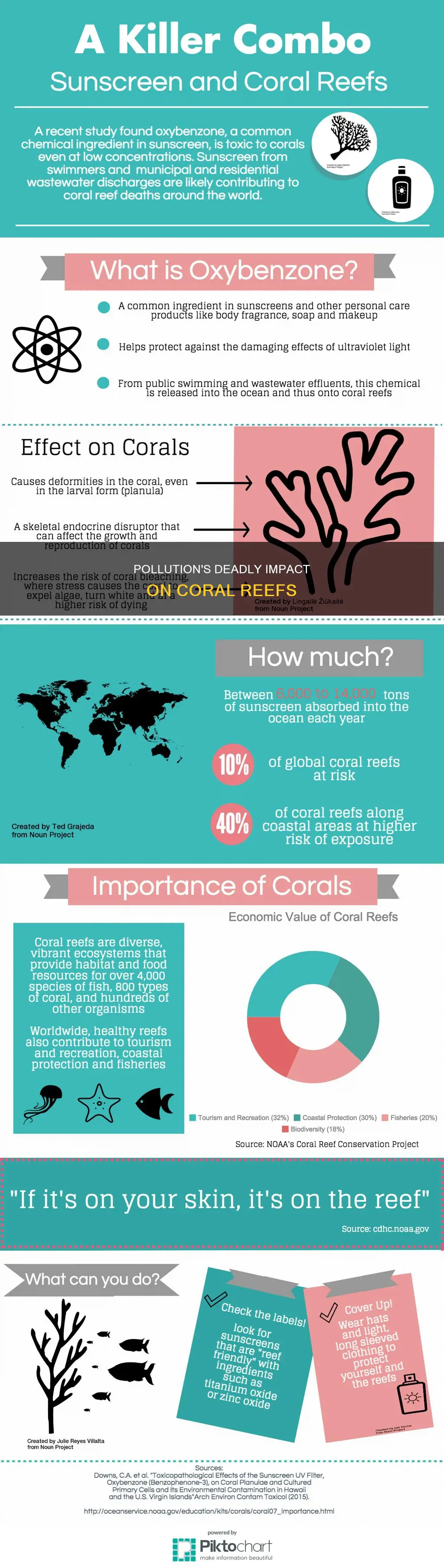 is pollution the number 1 killer of coral reefs