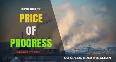 The Dark Side of Progress: Pollution's Price