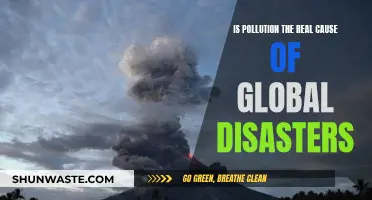 Pollution's Impact: Unveiling the Global Disaster Connection