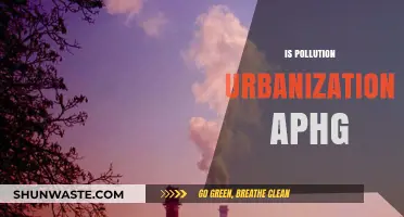 Urbanization's Pollution Problem: A Global Concern