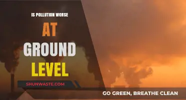 The Impact of Pollution at Ground Level