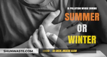 Summer vs. Winter: Pollution's Worst Season