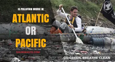 Pacific vs Atlantic: Pollution's Worst Victim