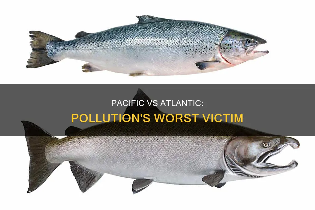is pollution worse in atlantic or pacific