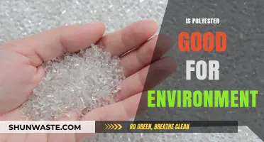 Polyester's Environmental Impact: Sustainable Choice or Eco-Friendly Myth?