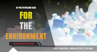 Polyethylene's Environmental Impact: Harmful Effects and Sustainable Alternatives