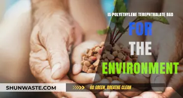 Polyethylene Terephthalate: Environmental Impact and Sustainable Alternatives Explored