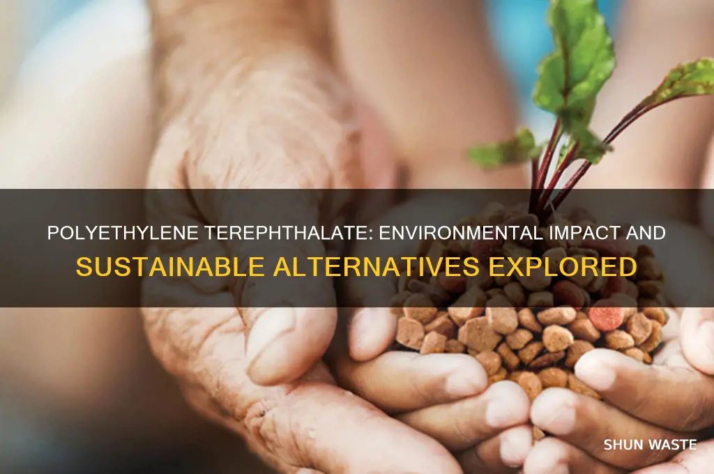 is polyethylene terephthalate bad for the environment