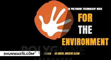 Polygiene Technology: Eco-Friendly Innovation or Environmental Concern?