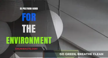 Is Polygon Eco-Friendly? Exploring Its Environmental Impact and Benefits
