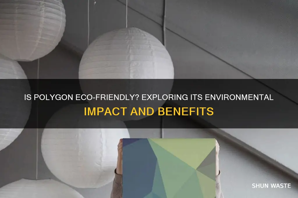 is polygon good for the environment