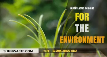 Is Polylactic Acid Eco-Friendly? Uncovering Its Environmental Impact